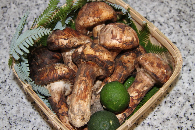 ファイル 2628-2.jpg