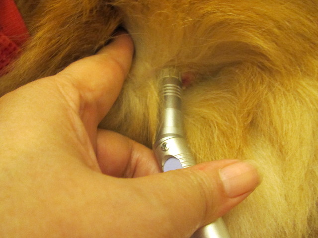 ファイル 2629-2.jpg