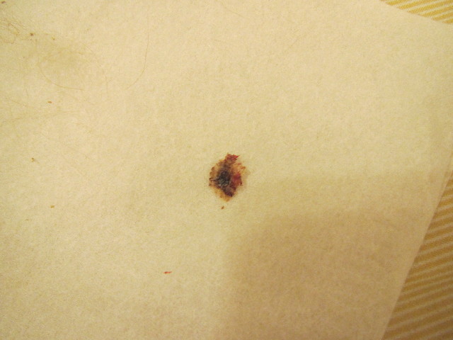 ファイル 2629-4.jpg