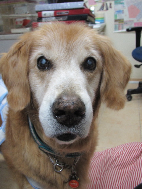 ファイル 2629-5.jpg