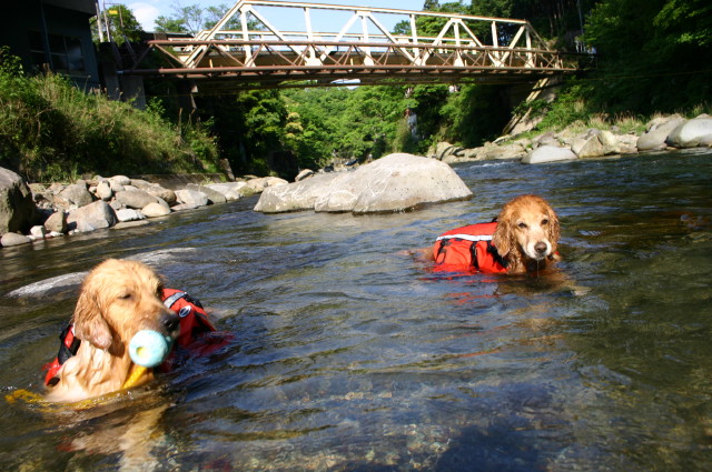 ファイル 263-1.jpg