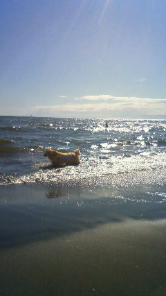 ファイル 2630-2.jpg