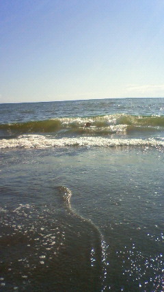 ファイル 2630-3.jpg