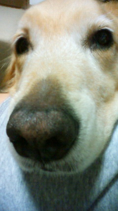 ファイル 2630-5.jpg