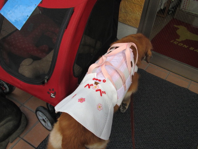 ファイル 2631-2.jpg