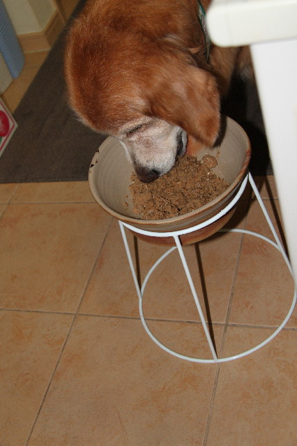 ファイル 2631-3.jpg