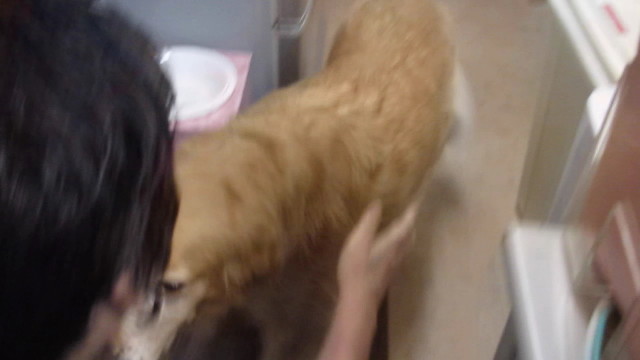 ファイル 2632-2.jpg