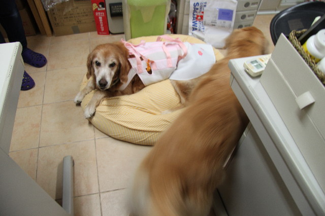 ファイル 2632-4.jpg