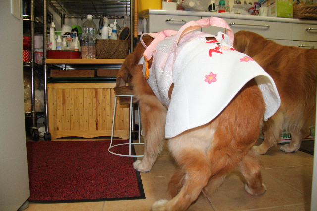 ファイル 2634-5.jpg