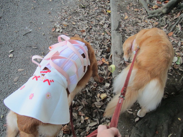 ファイル 2635-3.jpg