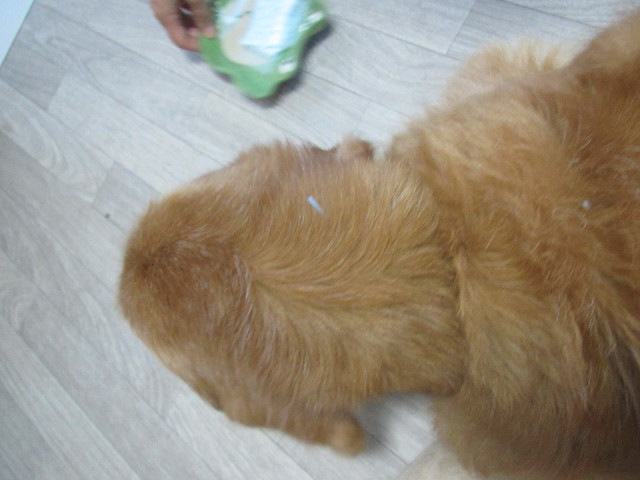 ファイル 2636-3.jpg