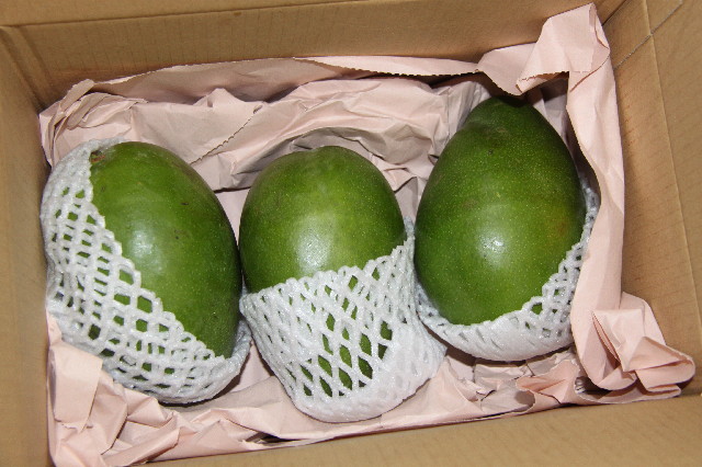 ファイル 2638-2.jpg