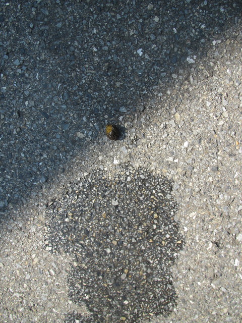 ファイル 2638-5.jpg