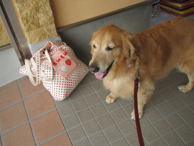 ファイル 2639-1.jpg