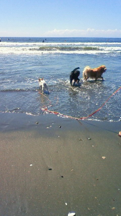 ファイル 2639-3.jpg