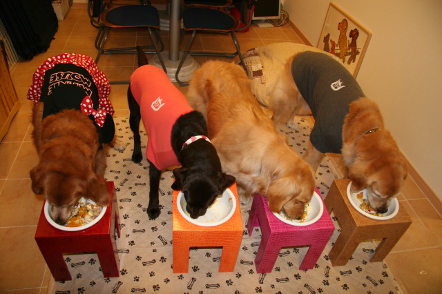 ファイル 264-2.jpg