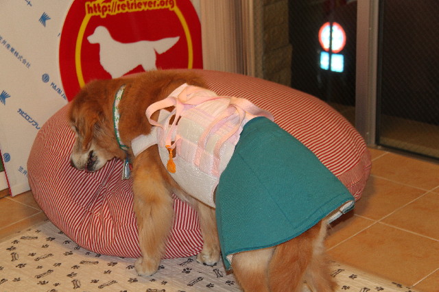 ファイル 2640-4.jpg