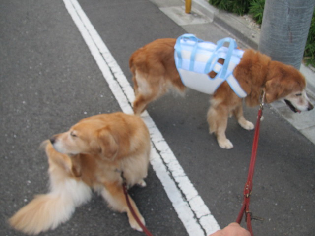 ファイル 2641-2.jpg