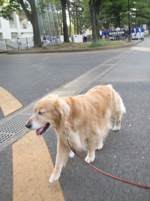 ファイル 2641-3.jpg