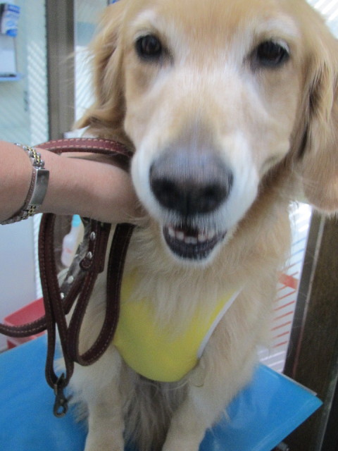 ファイル 2642-2.jpg