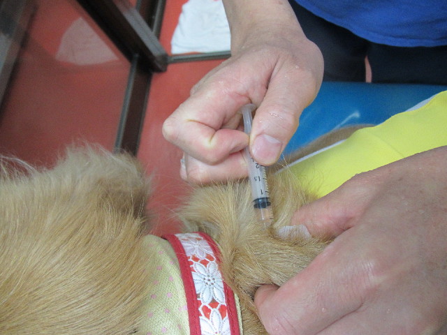 ファイル 2642-3.jpg