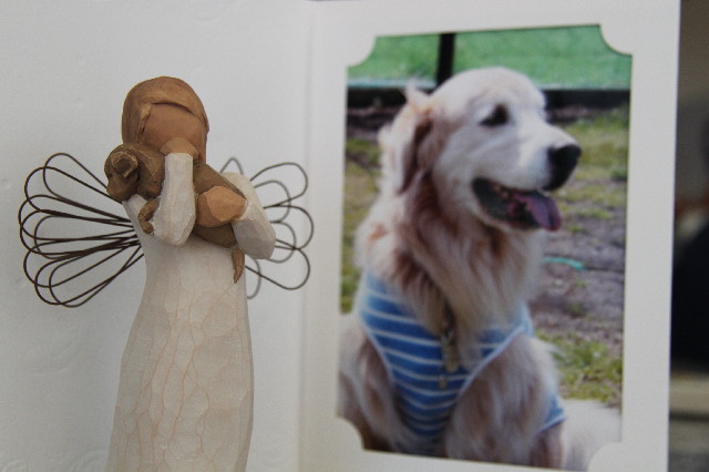 ファイル 2643-4.jpg