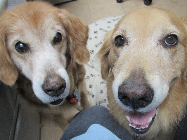 ファイル 2644-1.jpg