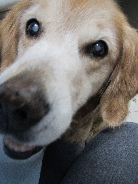 ファイル 2644-2.jpg