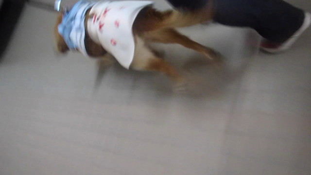 ファイル 2644-3.jpg