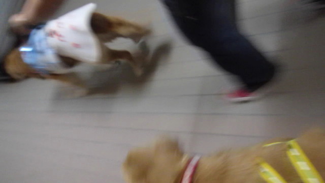 ファイル 2644-4.jpg