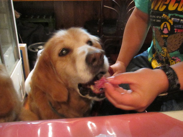 ファイル 2645-4.jpg