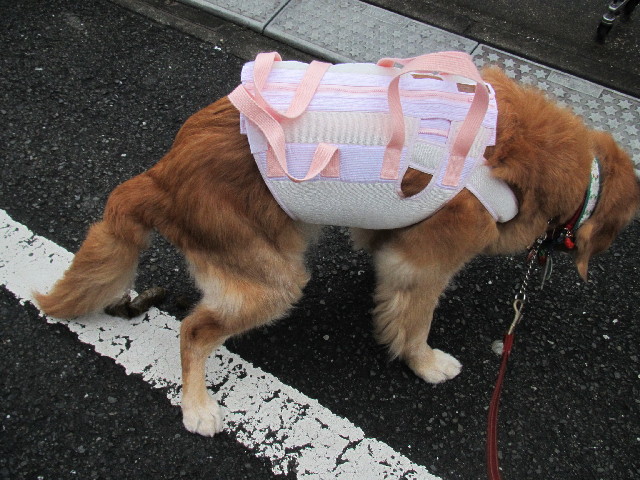 ファイル 2647-2.jpg