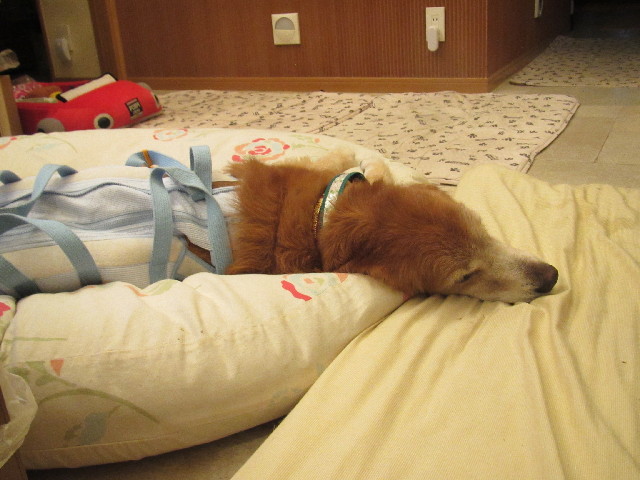 ファイル 2648-2.jpg