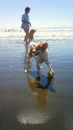 ファイル 2649-4.jpg