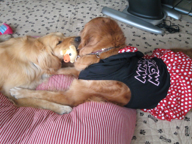 ファイル 265-1.jpg