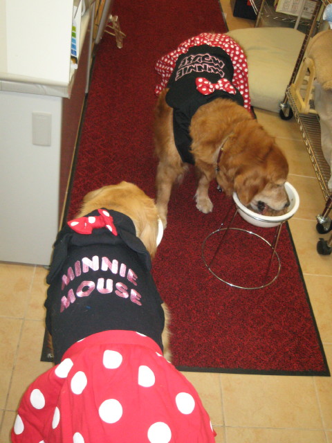 ファイル 265-3.jpg