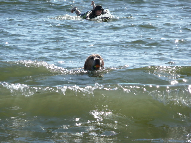 ファイル 2650-3.jpg