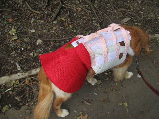 ファイル 2651-2.jpg