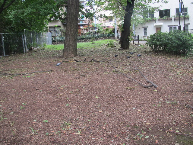 ファイル 2651-3.jpg