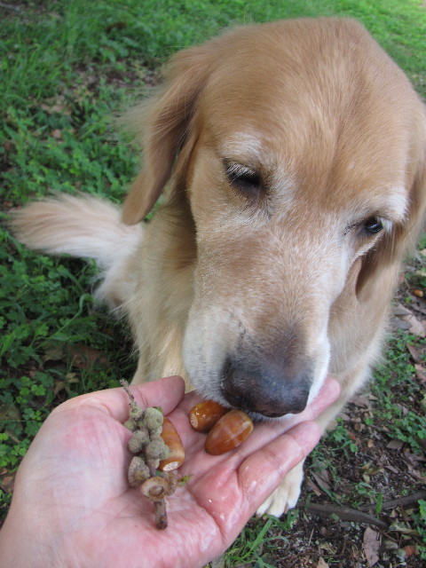 ファイル 2653-4.jpg