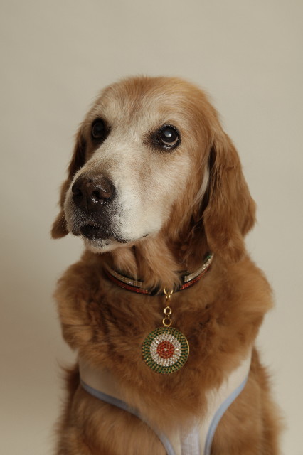 ファイル 2654-4.jpg