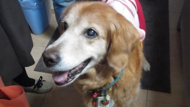 ファイル 2656-1.jpg