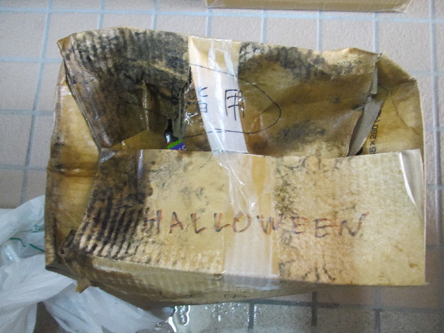 ファイル 2657-2.jpg