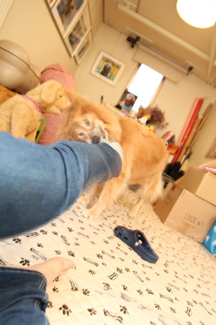 ファイル 2657-5.jpg