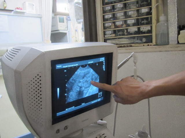 ファイル 2658-4.jpg