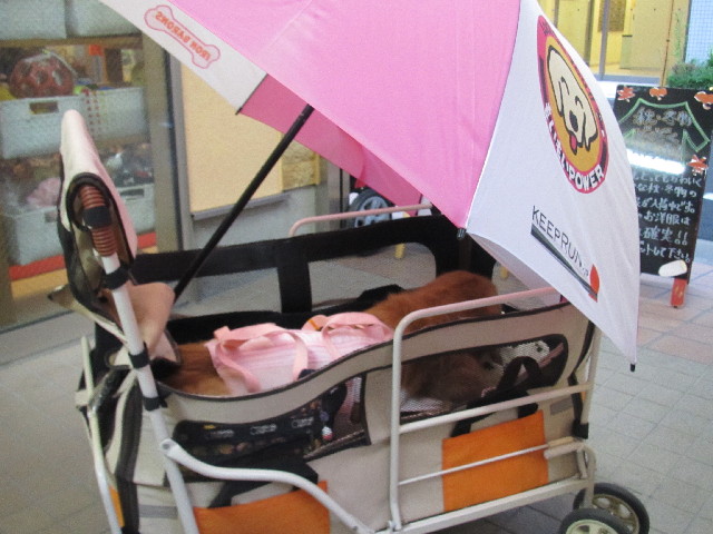 ファイル 2659-2.jpg