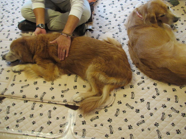 ファイル 2659-5.jpg