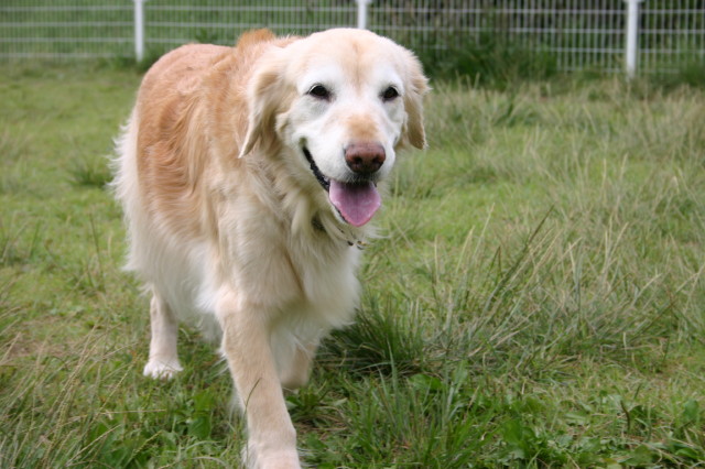 ファイル 266-4.jpg