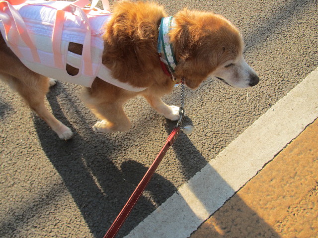 ファイル 2661-4.jpg