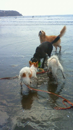 ファイル 2662-1.jpg